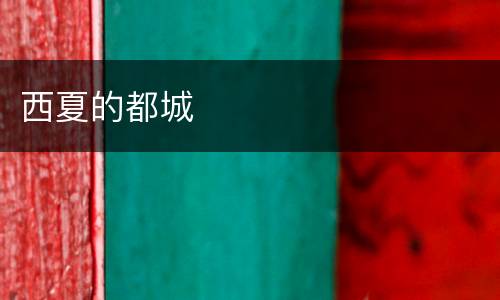 西夏的都城