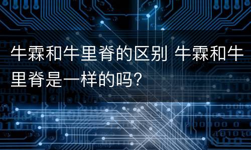 牛霖和牛里脊的区别 牛霖和牛里脊是一样的吗?