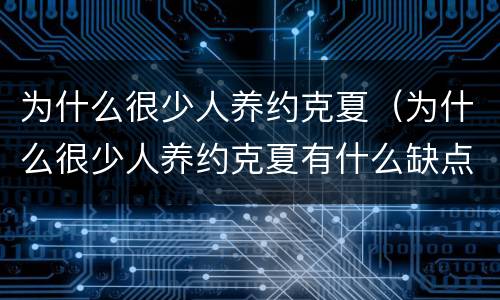 为什么很少人养约克夏（为什么很少人养约克夏有什么缺点）