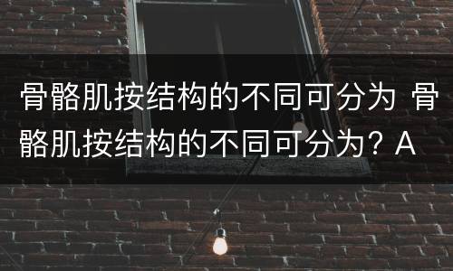骨骼肌按结构的不同可分为 骨骼肌按结构的不同可分为? A