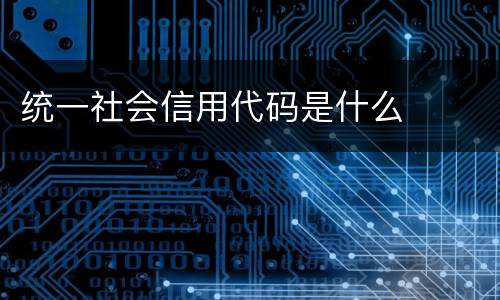 统一社会信用代码是什么