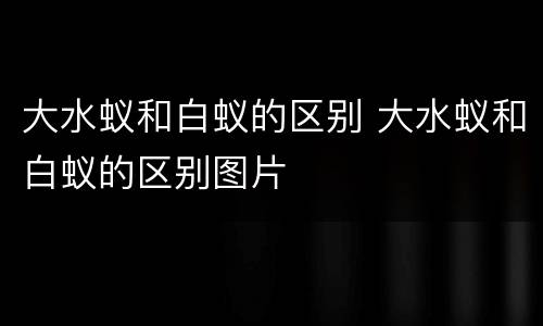 大水蚁和白蚁的区别 大水蚁和白蚁的区别图片