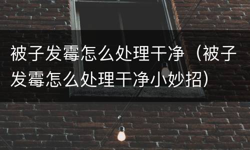 被子发霉怎么处理干净（被子发霉怎么处理干净小妙招）