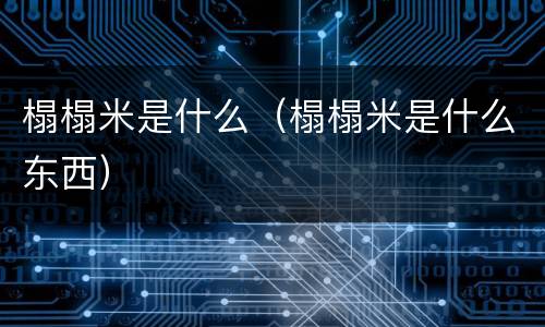 榻榻米是什么（榻榻米是什么东西）