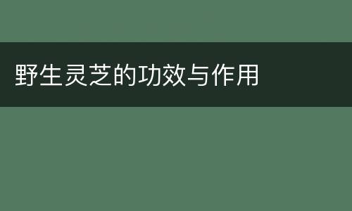 野生灵芝的功效与作用