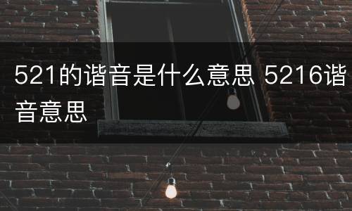 521的谐音是什么意思 5216谐音意思