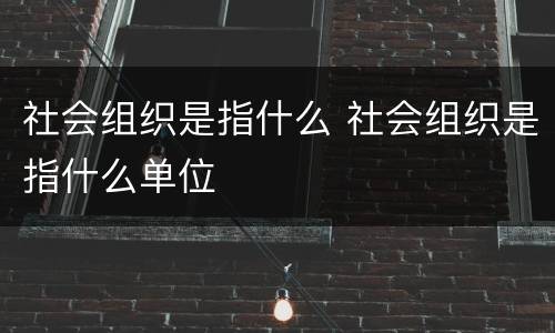 社会组织是指什么 社会组织是指什么单位