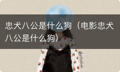 忠犬八公是什么狗（电影忠犬八公是什么狗）