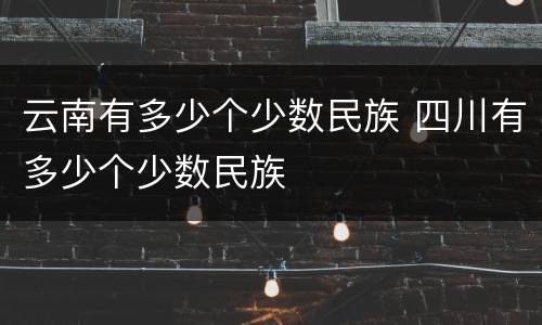 云南有多少个少数民族 四川有多少个少数民族