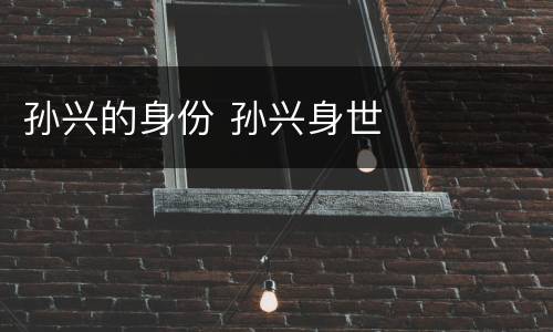 孙兴的身份 孙兴身世