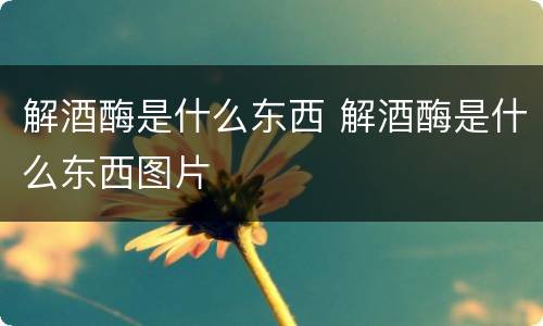 解酒酶是什么东西 解酒酶是什么东西图片