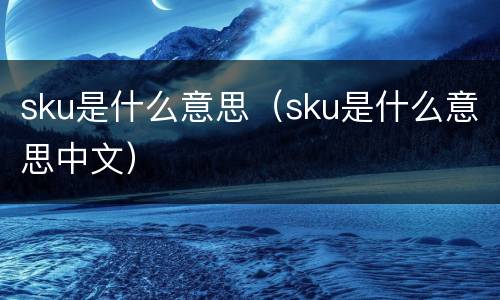 sku是什么意思（sku是什么意思中文）