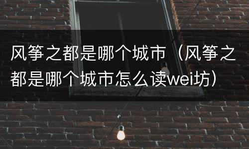 风筝之都是哪个城市（风筝之都是哪个城市怎么读wei坊）