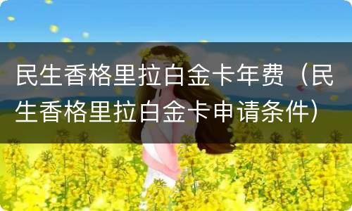 民生香格里拉白金卡年费（民生香格里拉白金卡申请条件）