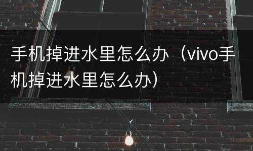 手机掉进水里怎么办（vivo手机掉进水里怎么办）
