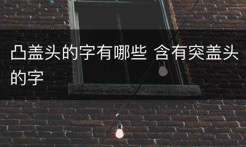 凸盖头的字有哪些 含有突盖头的字