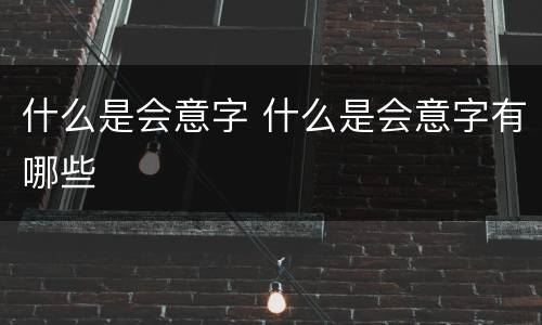 什么是会意字 什么是会意字有哪些