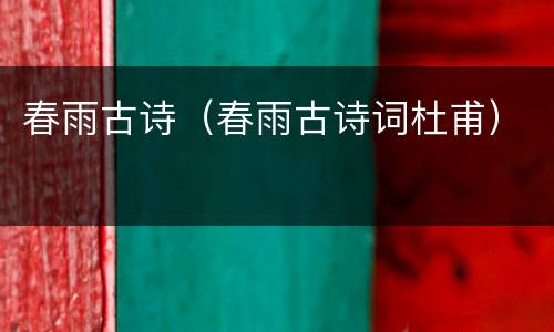 春雨古诗（春雨古诗词杜甫）