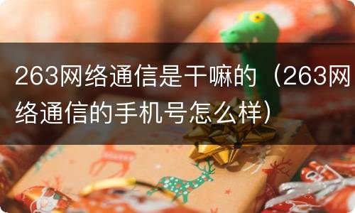 263网络通信是干嘛的（263网络通信的手机号怎么样）
