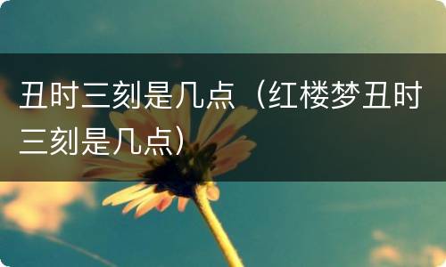 丑时三刻是几点（红楼梦丑时三刻是几点）