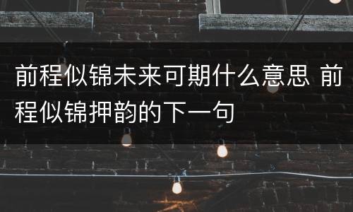 前程似锦未来可期什么意思 前程似锦押韵的下一句