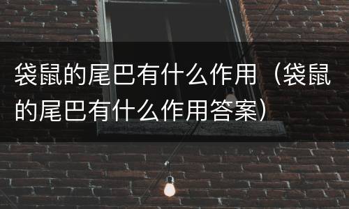 袋鼠的尾巴有什么作用（袋鼠的尾巴有什么作用答案）