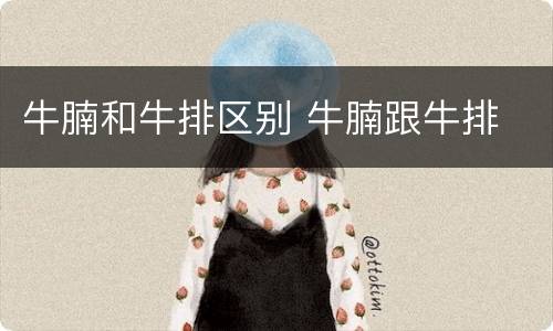 牛腩和牛排区别 牛腩跟牛排