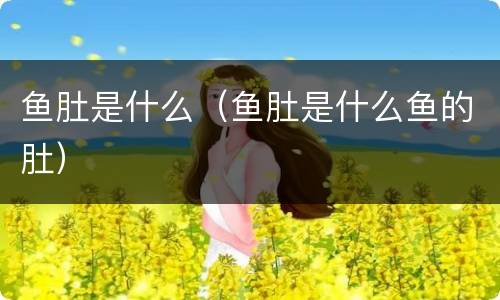 鱼肚是什么（鱼肚是什么鱼的肚）