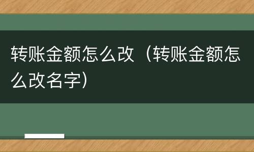 转账金额怎么改（转账金额怎么改名字）