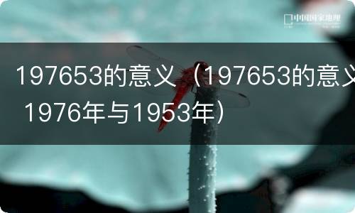 197653的意义（197653的意义 1976年与1953年）