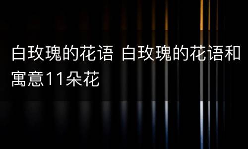 白玫瑰的花语 白玫瑰的花语和寓意11朵花