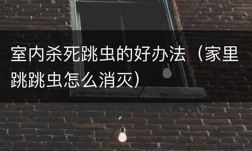 室内杀死跳虫的好办法（家里跳跳虫怎么消灭）