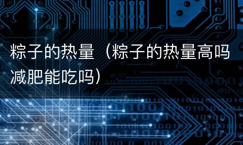 粽子的热量（粽子的热量高吗减肥能吃吗）