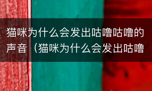 猫咪为什么会发出咕噜咕噜的声音（猫咪为什么会发出咕噜咕噜的声音 像大呼一样）