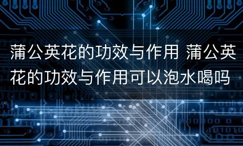 蒲公英花的功效与作用 蒲公英花的功效与作用可以泡水喝吗