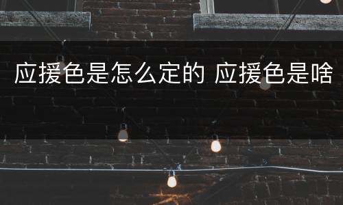 应援色是怎么定的 应援色是啥