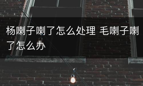 杨喇子喇了怎么处理 毛喇子喇了怎么办