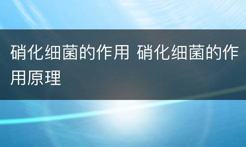 硝化细菌的作用 硝化细菌的作用原理