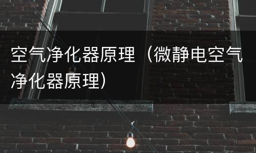 空气净化器原理（微静电空气净化器原理）