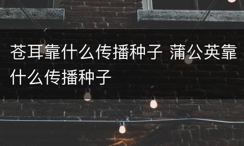 苍耳靠什么传播种子 蒲公英靠什么传播种子