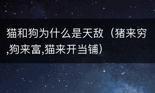 猫和狗为什么是天敌（猪来穷,狗来富,猫来开当铺）