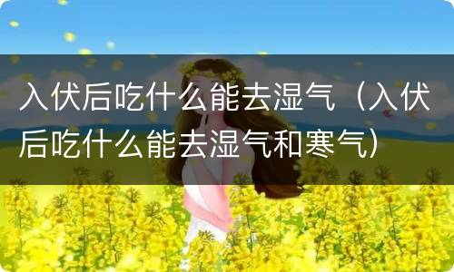入伏后吃什么能去湿气（入伏后吃什么能去湿气和寒气）