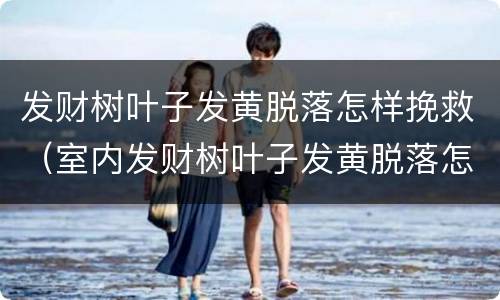 发财树叶子发黄脱落怎样挽救（室内发财树叶子发黄脱落怎样挽救）