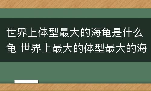 世界上体型最大的海龟是什么龟 世界上最大的体型最大的海龟是什么