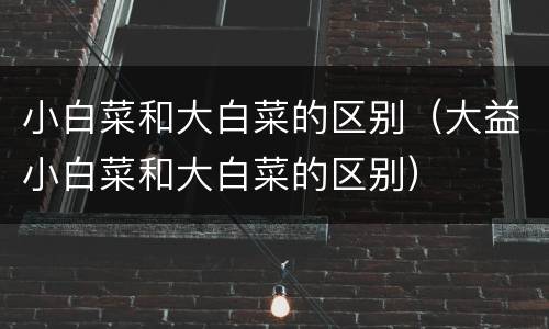 小白菜和大白菜的区别（大益小白菜和大白菜的区别）
