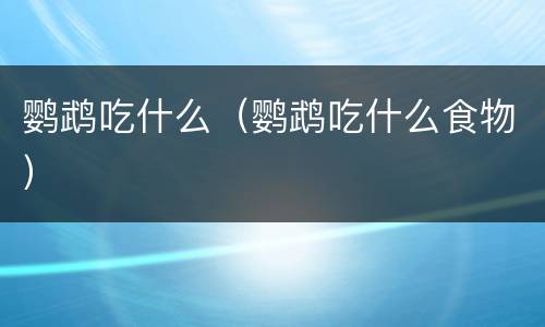 鹦鹉吃什么（鹦鹉吃什么食物）