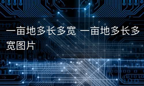 一亩地多长多宽 一亩地多长多宽图片