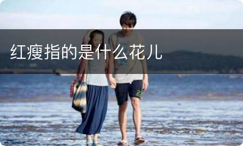 红瘦指的是什么花儿