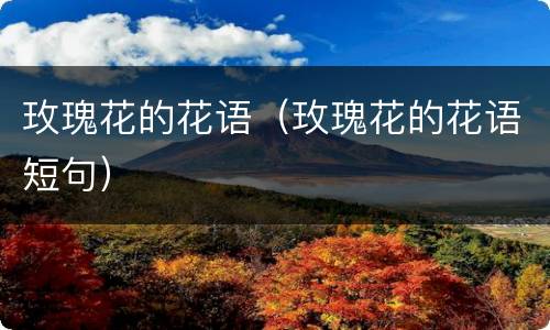玫瑰花的花语（玫瑰花的花语短句）