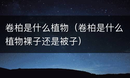 卷柏是什么植物（卷柏是什么植物裸子还是被子）